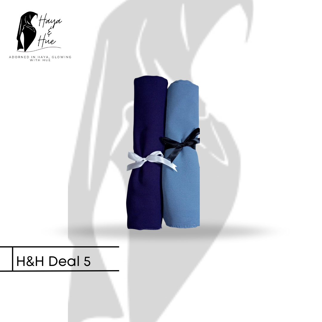 H&H Deal 5 – 2 Stylish Georgette Hijabs for Everyday Elegance (Blue Burry & Baby Blue)